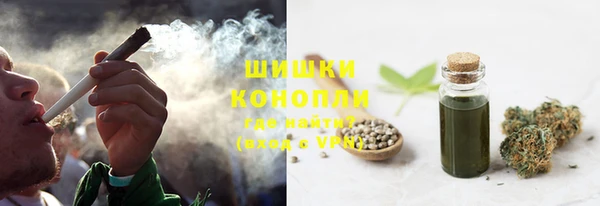 метадон Белокуриха